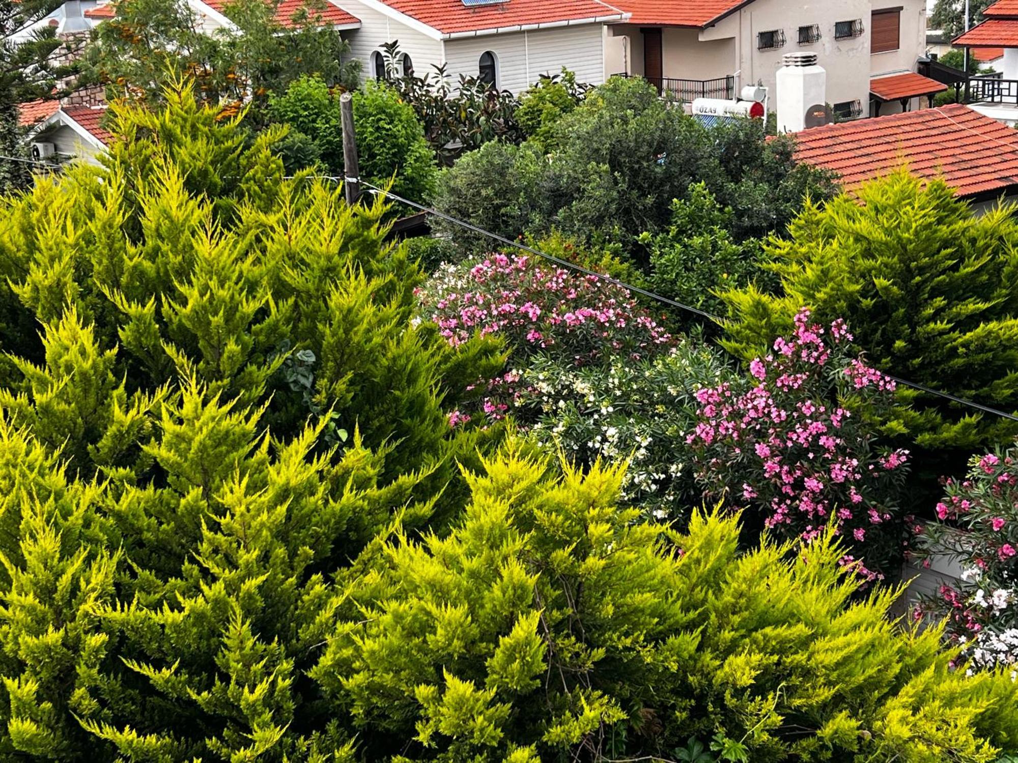 Ada Konak Otel Urla Dış mekan fotoğraf